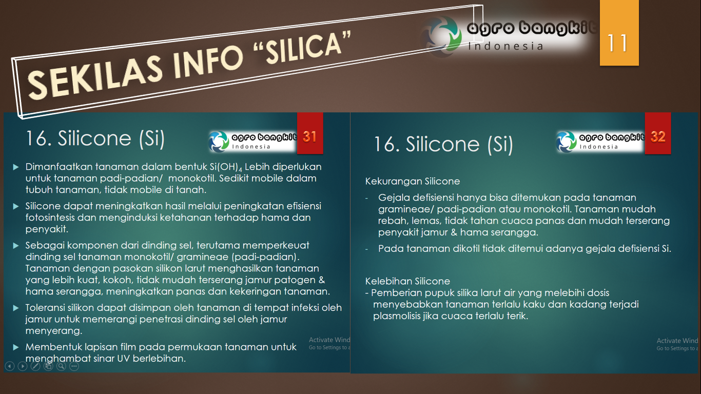 Sekilas info unsur hara Silica.