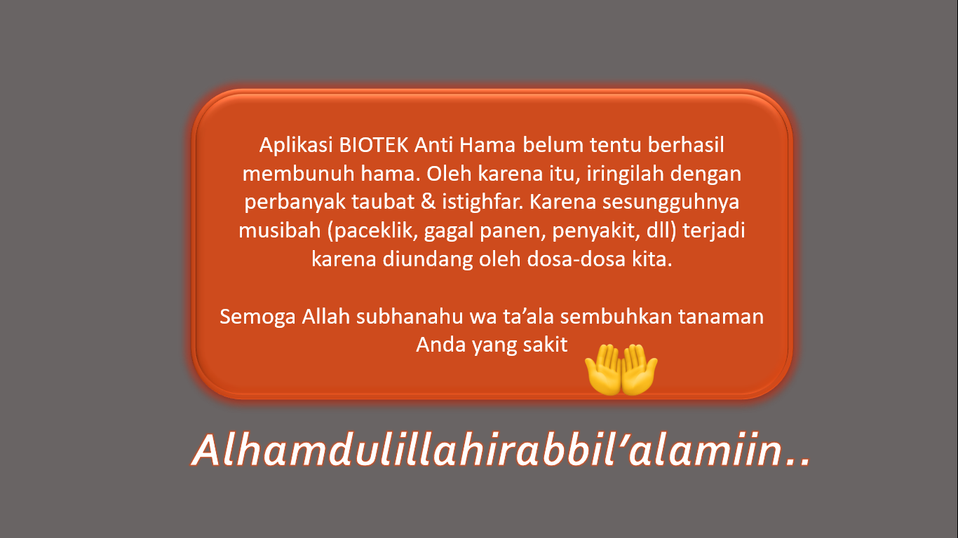 Tawakal hanya kepada ALLAH subhanahu wa ta'ala.