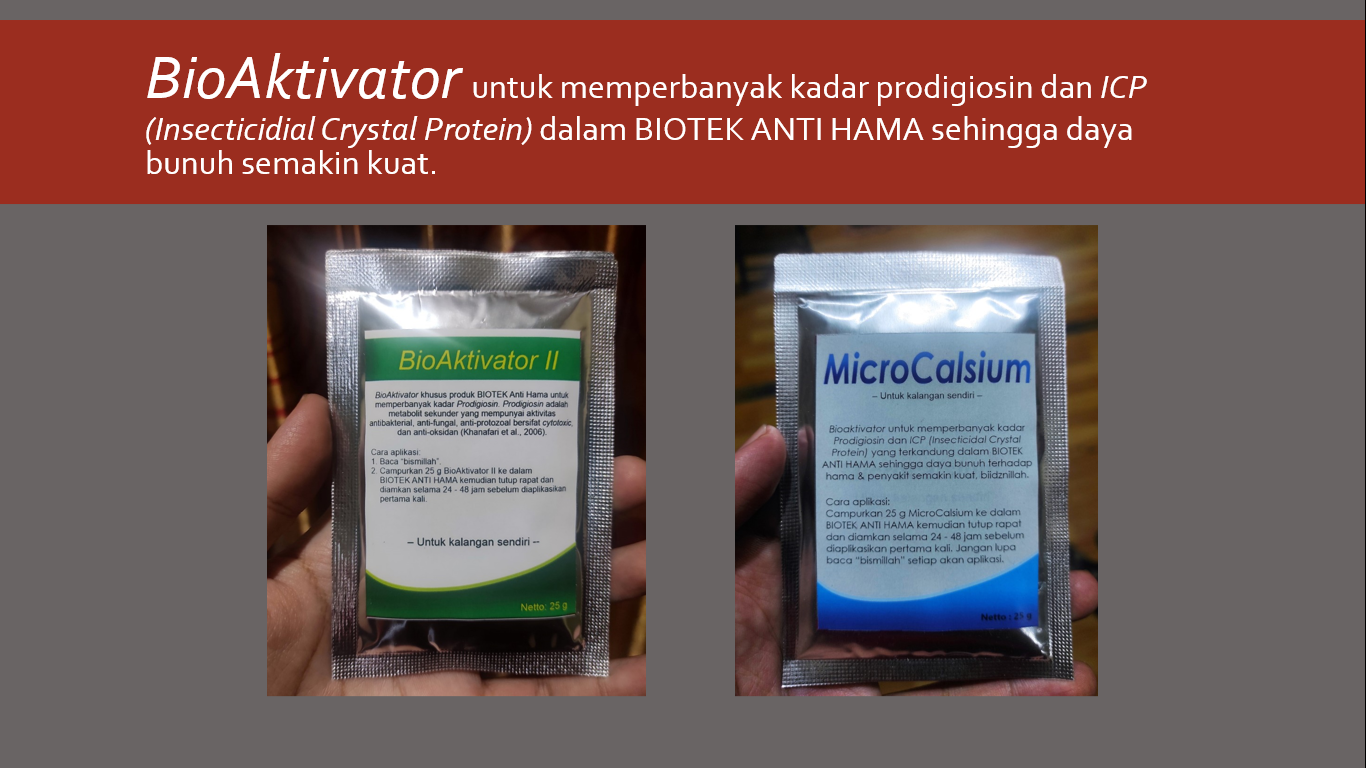 BioAktivator II 25 g dan MicroCalsium 25 g.