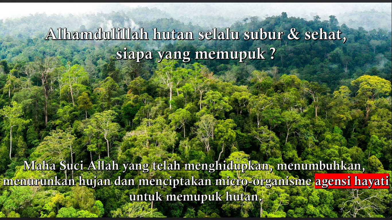 Alhamdulillah hutan selalu subur.